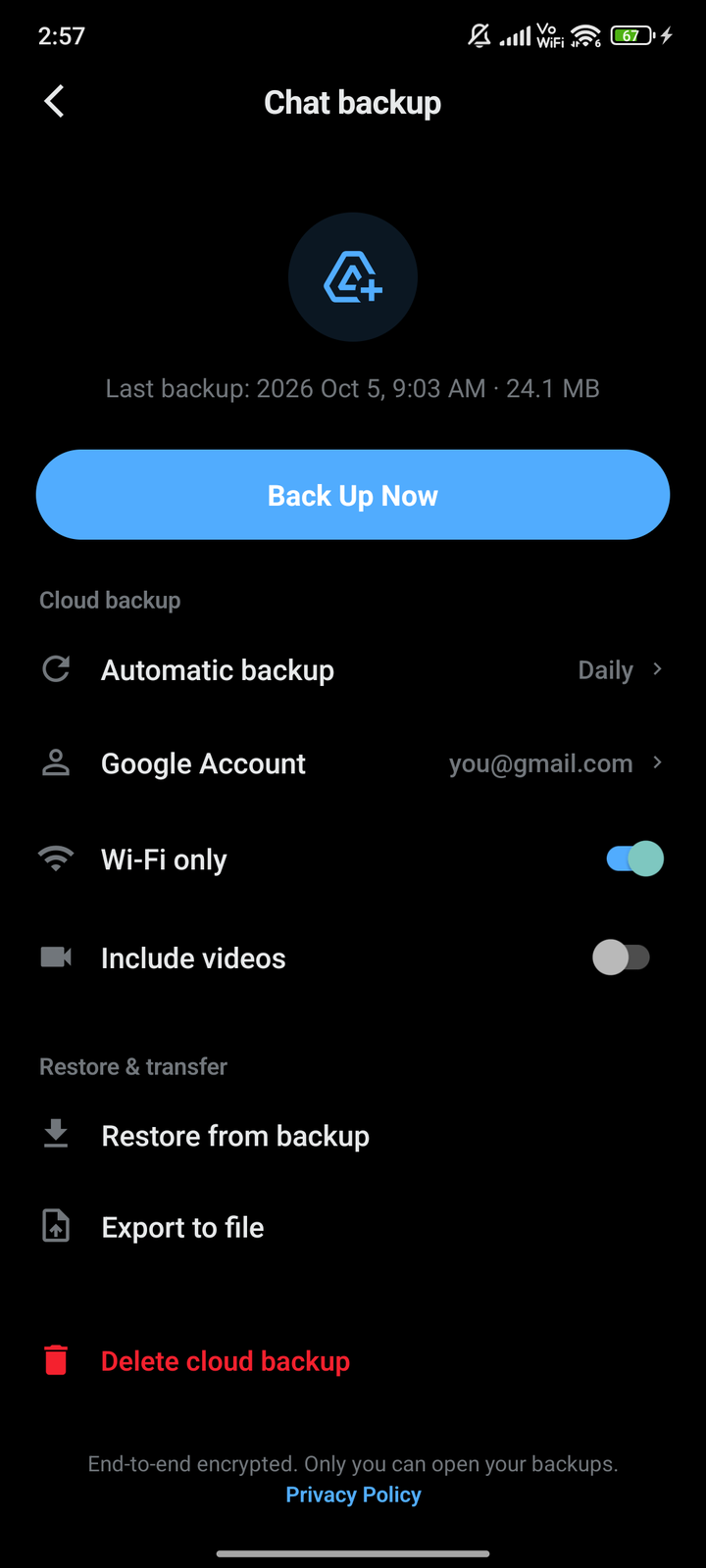 O'Chat cloud backup screen
